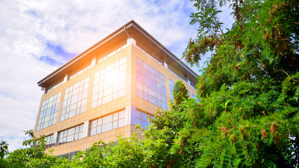istock Eco building in modern city concept. 1641948177
