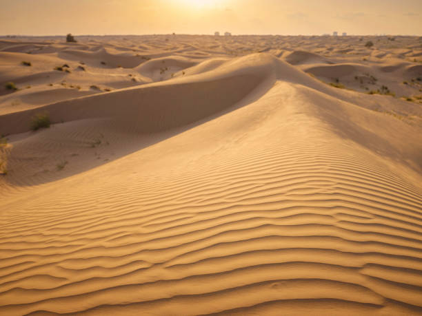 landschaft mit sanddüne, liwa oasis, abu dhabi, vereinigte arabische emirate - liwa desert stock-fotos und bilder