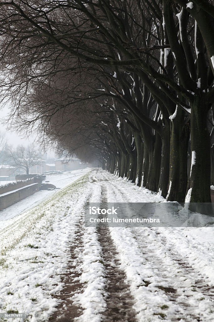 Medieval walls in the winter season A freezy day on a medieval wall of an italian city Castle Stock Photo