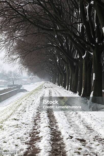 Medieval Walls In The Winter Season Stock Photo - Download Image Now - Castle, City, City Life