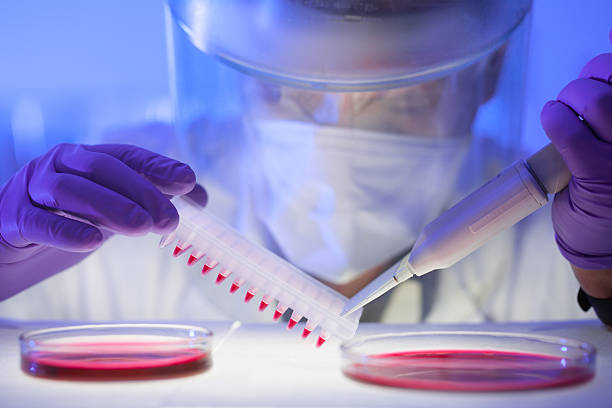 Close-up of scientist in protective clothing Focused life science professional pipetting human serum media containing HIV infected cells from petri dish to microtiter plate. High protection degree work. new life stock pictures, royalty-free photos & images