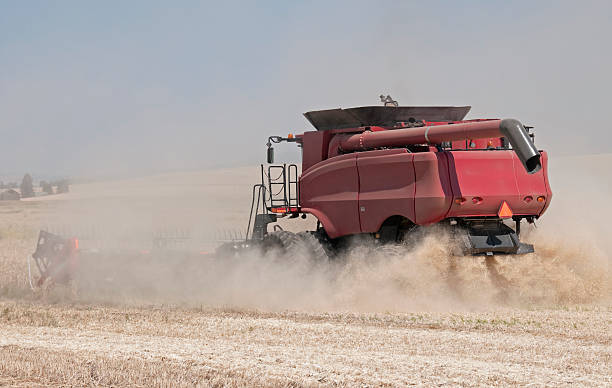 istock Combine harvesting wheat in Washington state 164198155