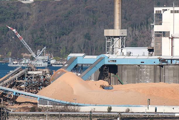 istock Sawdust pile and tractor at pulp mill 164198164