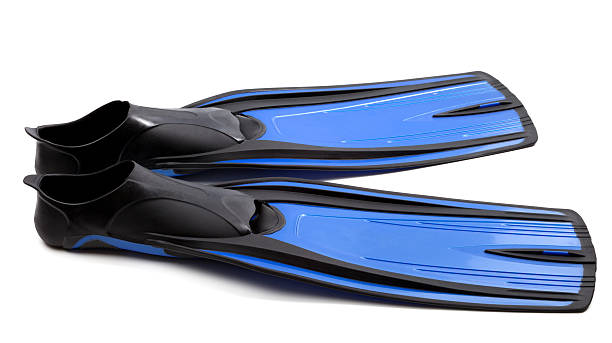 istock Flippers for diving on white background 164199153