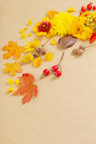 istock autumn flowers and leaves on  paper background 1642002367