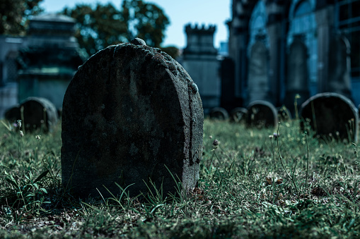 Eerie tombstone, old and forgotten. Text ready.