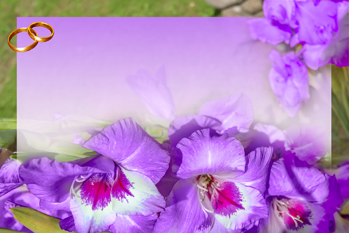 Mockup for wedding cards and invitations with purple gladiolus and rings.