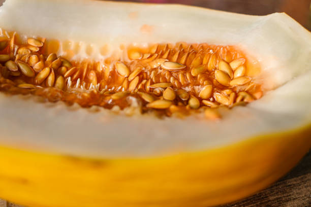 Cantaloupe melon studio isolated.