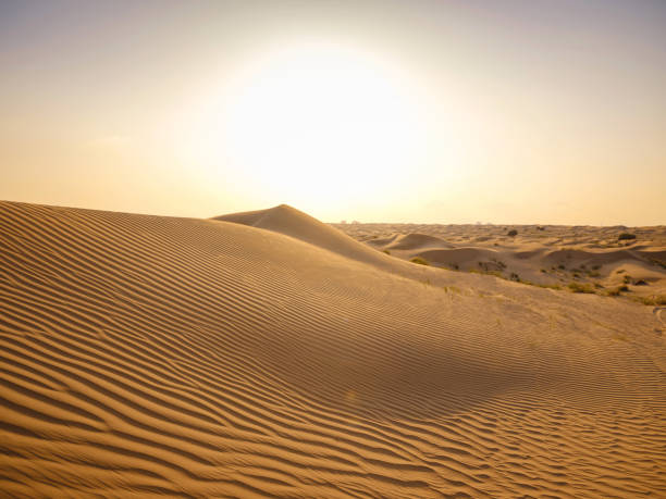 istock Landscape with Sand Dune, Liwa Oasis, Abu Dhabi, UAE 1642062484