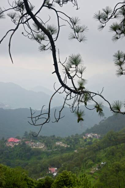 istock Kasauli  Hill station, Himachal Pradesh 1642064685