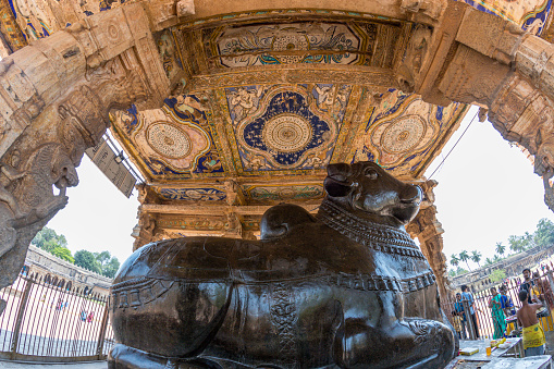 Thanjavur,tamil nadu India 14 March 2022 Big nandi at thanjavur temple, UNESCO World Heritage Site, Tamil Nadu, India.