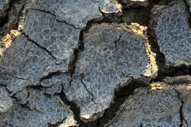 istock Cracked mud surface in shades of black and grey, with the mud split into small squares 1642074041
