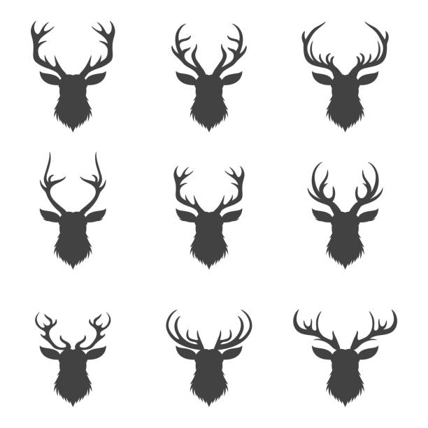 Vector Christmas Reindeer Horns, Antlers. Deer Horn Silhouettes. Hand Drawn Deers Horn, Antler Set. Animal Antler Collection. Design Elements of Deer. Wildlife Hunters, Hipster, Christmas Concept.