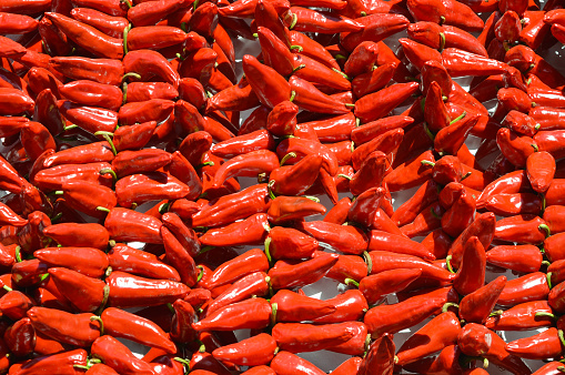 Strings of red Espelette peppers are hung on the facades of houses in Espelette
