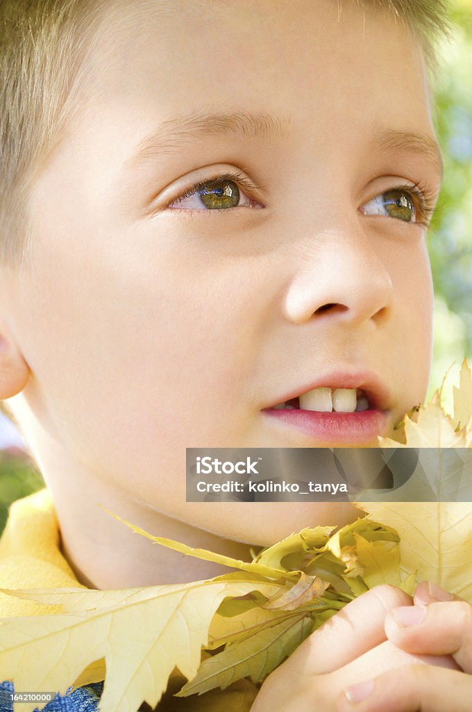 Retrato de linda little boy - Foto de stock de Aire libre libre de derechos