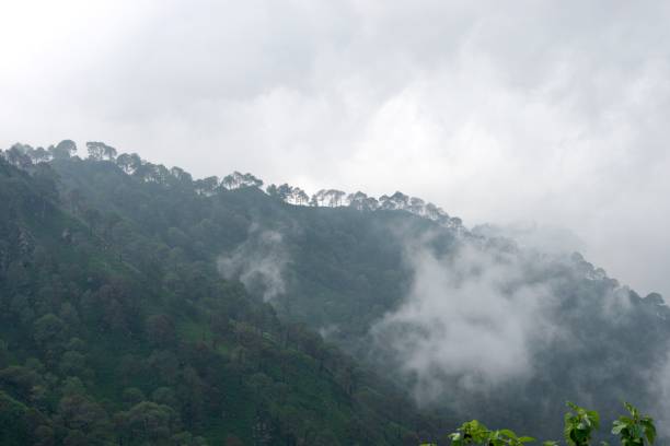 istock View of a mountain with a forest on a misty day 1642116369