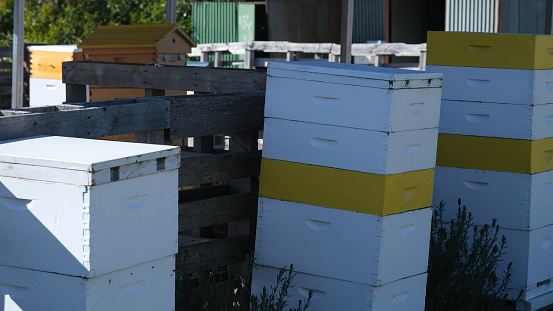Traditional Beehives in a bee farm apiary.