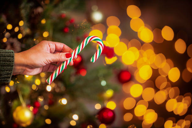 istock Woman's hand holding a candy cane with defocused  Christmas tree and string lights at background 1642168649