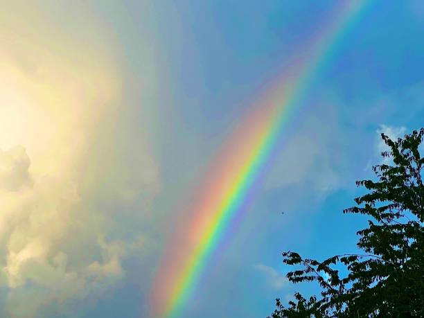 istock Sunshine and a rainbow after the storm 1642194559