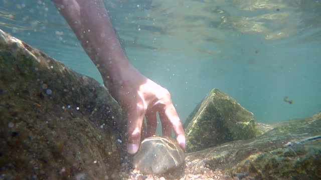 Hand of a man picking up rocks underwater
