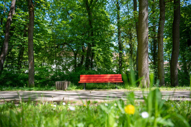 istock Red park bench in a green summer park 1642217653