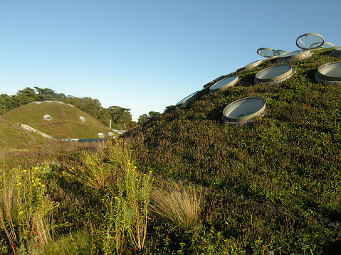 The green roof of the California Academy of Sciences building in San Francisco. The photo is a great example of how green roofs can help to improve the environment and make cities more sustainable.