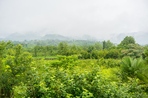 view of Amegleba village in Guria region of Georgia