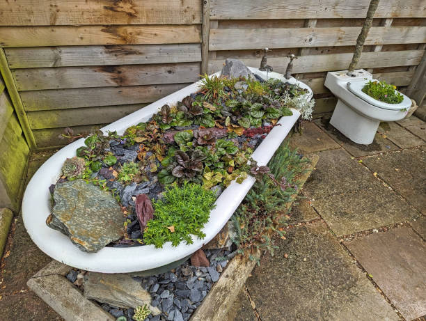 istock Old bath and toilet recycled as plant holders 1642283962