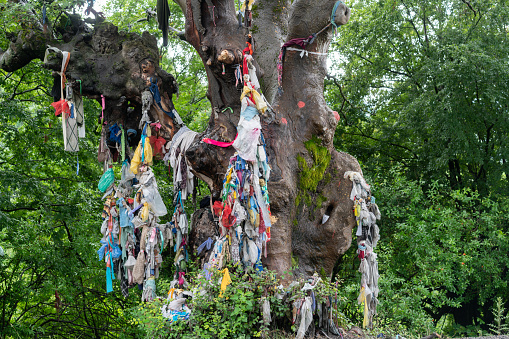 Ribbons, fabrics and wishes hanging from the branches of a tree on the Georgian Guria road.
