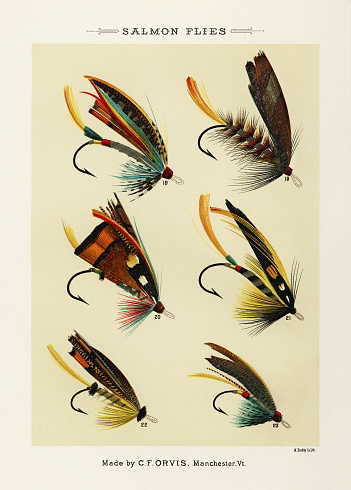 Vintage Illustration of fly fishing hooks: Assorted barbed fly hooks with different sizes and eyelets for artificial fly patterns in fly fishing. Ca. 1890