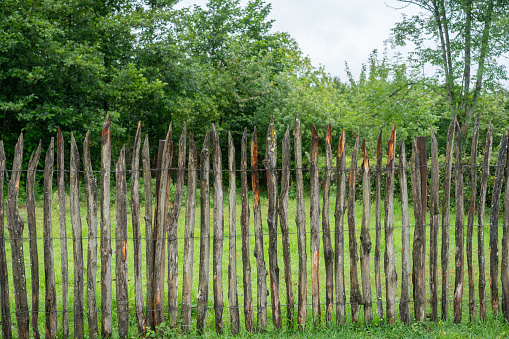 mossy wooden fence in tropical village,Guria