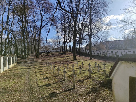 Old cemetery in the early spring