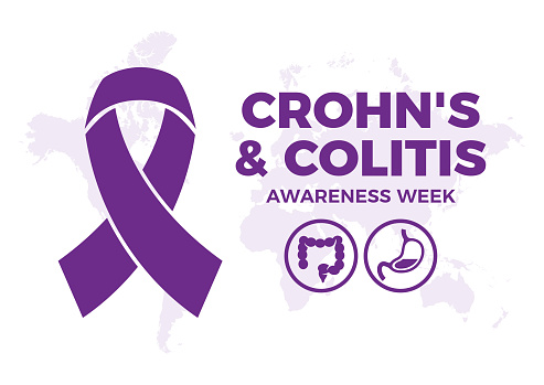 Inflammatory Bowel Disease symbol. Crohn's disease and ulcerative colitis purple awareness ribbon icon vector. Important day