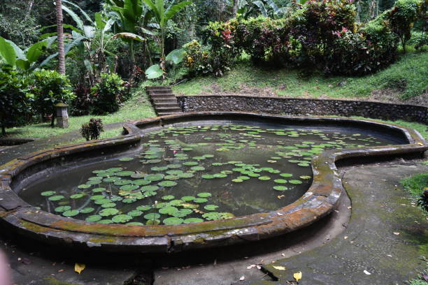istock Lily Pad Pool in Lower Section of Goa Gajah 1642376939