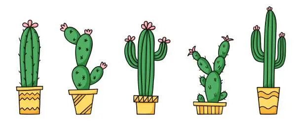 Vector illustration of Cute green cactus and succulents in yellow pots. Cartoon vector illustration set