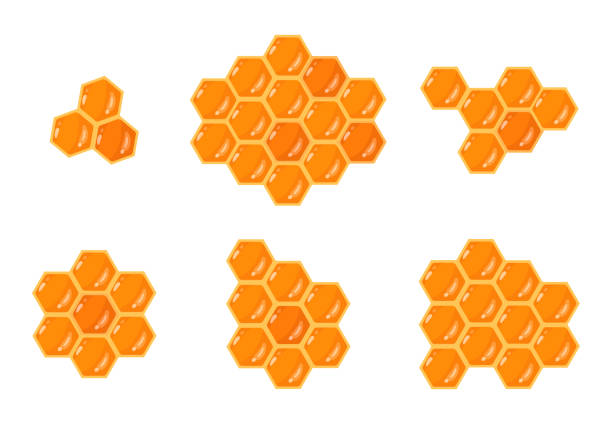 ilustraciones, imágenes clip art, dibujos animados e iconos de stock de panales de dibujos animados. conjunto de ilustración de panales hexagonales geométricos de miel dulce, apicultura, honeycraft y apiario plano. panal poligonal con miel - honey hexagon honeycomb spring
