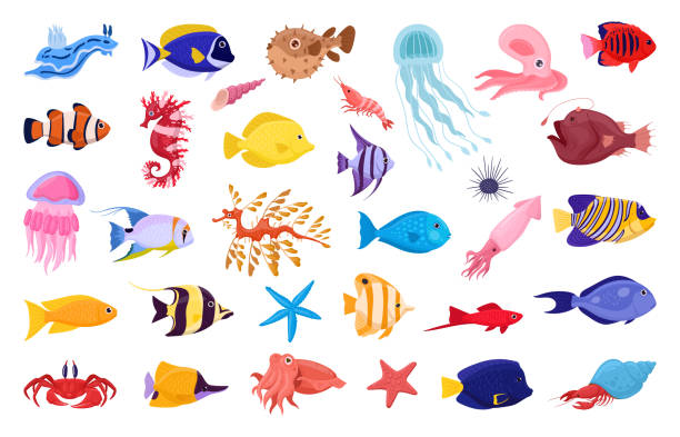 Exotic sea animals. Cartoon tropical underwater fish, jellyfish and seahorse, saltwater creatures flat vector illustration set. Tropical ocean fauna