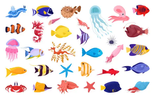 Vector illustration of Exotic sea animals. Cartoon tropical underwater fish, jellyfish and seahorse, saltwater creatures flat vector illustration set. Tropical ocean fauna