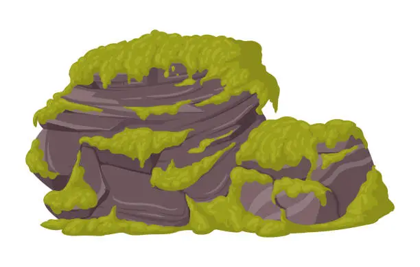 Vector illustration of Green creeping moss grows on stone. Cartoon moss on stone, moss plants grows on grey rock flat vector illustration