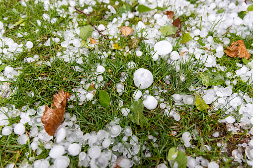 Big hailstones in grass