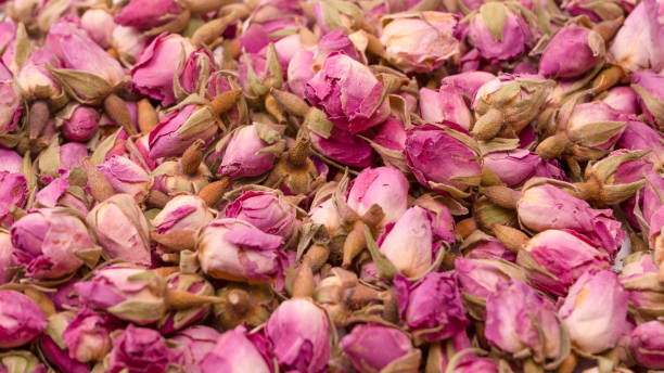 istock Dry tea roses isolated on white background. 1642395165