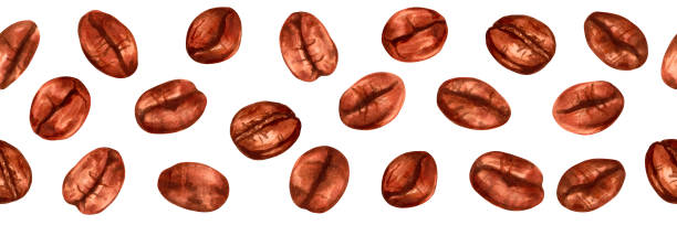 ilustrações, clipart, desenhos animados e ícones de borda sem costura dos grãos de café. aroma das variedades robusta e arábica. dia internacional do café. bebida aromática natural. faixa sem costura para café. - backgrounds bean drink caffeine