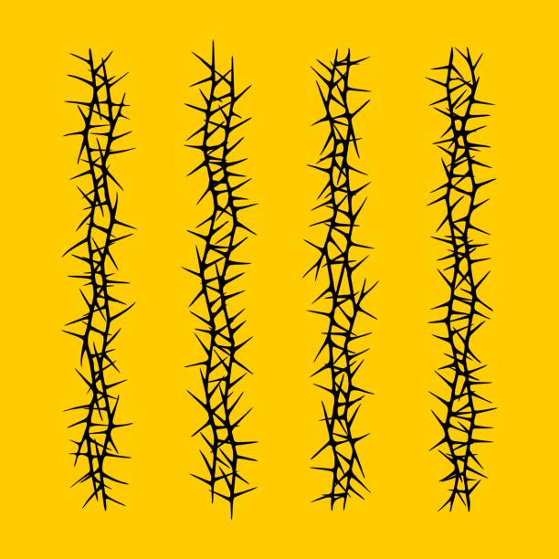 istock thorny plant vector. Crown of thorns. Great graphic element for your tattoo, poster, logo design 1642415942