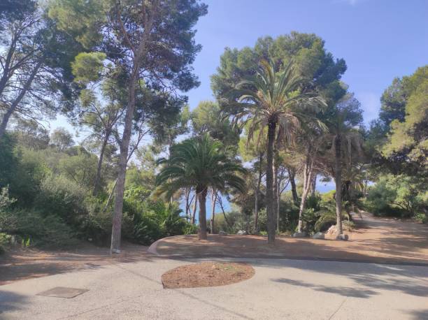 istock Enjoying on the Cala dels Crancs 1642430912