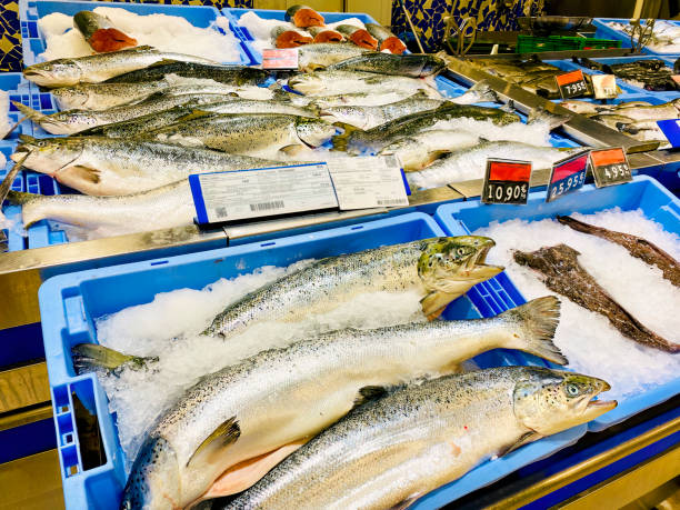 istock boxes of fresh fish in a supermarket 1642452383