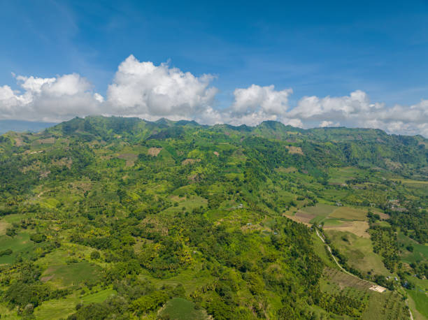 paysage tropical avec montagne tropicale à mindanao, philippines. - general santos photos et images de collection