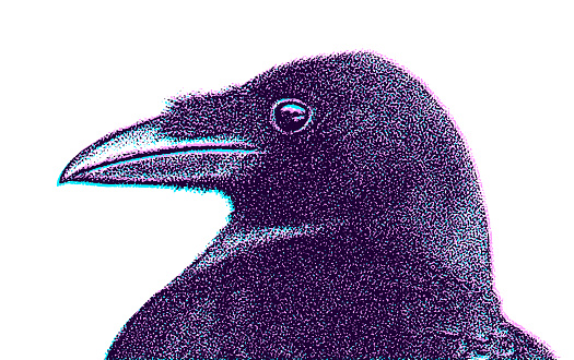 Close up of Raven or Crow head with Glitch Technique