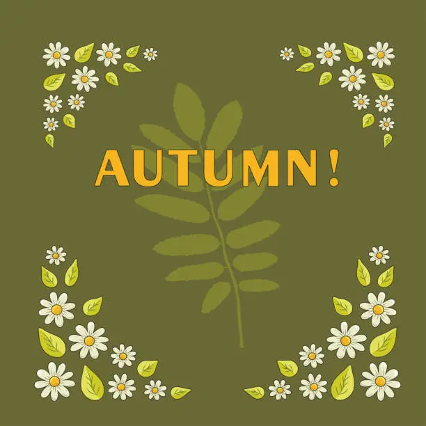 Vector illustration of Daisies with leaves on the edges of the background and the silhouette of a rowan leaf in the center on a square orange - green or khaki background with the inscription AUTUMN. Vector illustration.