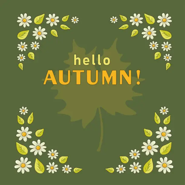 Vector illustration of Daisies with leaves on the edges of the background and a silhouette of a maple leaf in the center on a square green background background with the inscription HELLO, AUTUMN. Vector illustration.