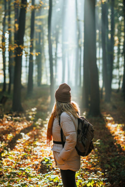 istock Woman with backpack walks in autumn forest with sunbeam shining through trees 1642490318